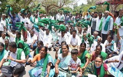 Farmers seek actual MSP for paddy, maize and ragi