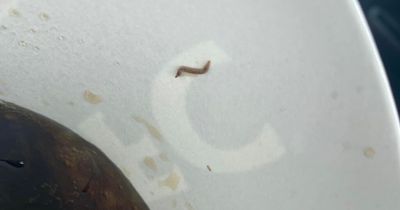 Mum 'physically sick' after finding worm in KFC drink