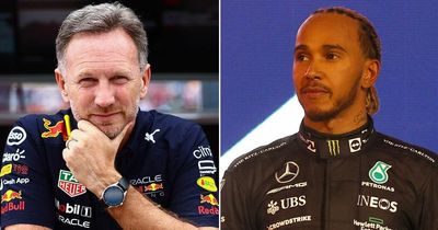 Christian Horner backs Lewis Hamilton to become 'factor' in F1 title race despite woes