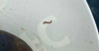 Woman 'physically sick' after finding worm in KFC drink and vows to never visit again