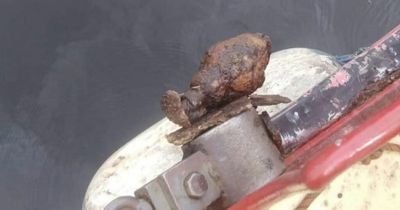 Live grenade found in River Aire during search for stolen blue plaque for David Oluwale
