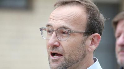 Invest property handouts must go: Greens