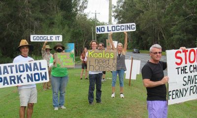 Community groups angered as Queensland government proposes logging in state forest