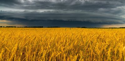 A year of hunger: how the Russia-Ukraine war is worsening climate-linked food shortages