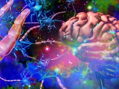 Pro-Patient Psychedelic Treatments Are Finally Moving Forward In A 'New Paradigm Shift'