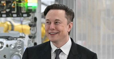 Tech mogul Elon Musk visited Coppers in 'bizarre experience' after web summit