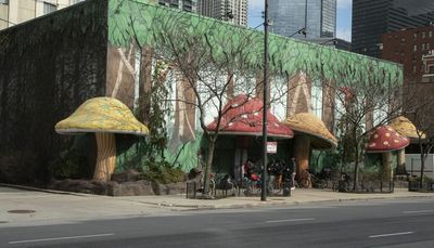 Clouted pot firm makes another run at Rainforest Cafe site