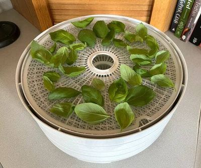 I bought this Nesco food dehydrator and embraced my inner doomsday prepper