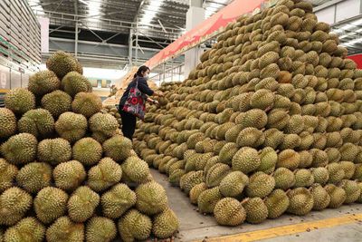 Fresh durian rail cargo on way to China