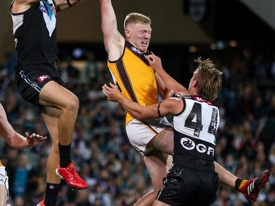 Sicily takes reins as Hawks' AFL captain