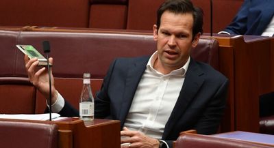 Matt Canavan and the problem of the Coalition’s broad church