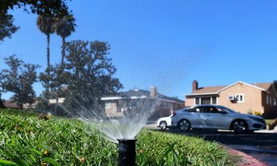 Parched southern California takes unprecedented step of restricting outdoor watering
