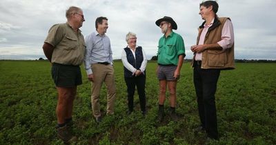 Maitland farmers celebrate government back down on river pumping