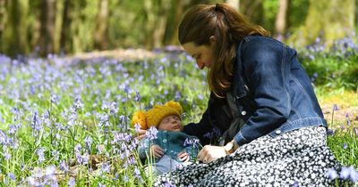 Met Office forecasts sunny weather to continue as frosts persist