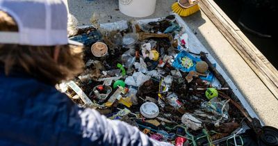 'A mix between a pool skimmer and a trash can': Newcastle's second Seabin