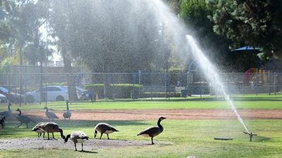 Southern California restricts outdoor watering in first-ever water shortage emergency declaration