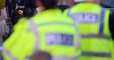 Drunk Lanarkshire thug jailed for two years after threatening cops with air rifle