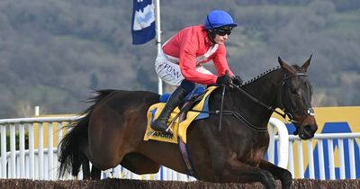 Punchestown Festival day 2 full race card and tips - list of runners Wednesday