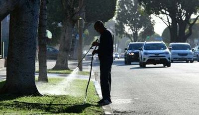 California: Six million told to cut outdoor watering as drought plagues state