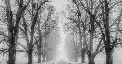 Bookies confident snow will fall in May as they say it could be coldest ever