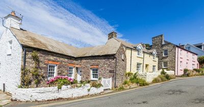 'Most Welsh holiday cottages will be lost because of tourism tax'