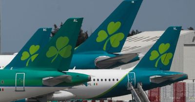 Aer Lingus launch huge discounts on flights to Europe and the UK and baggage for this summer