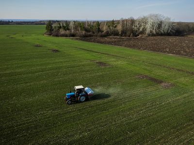 Ukraine war contributing to largest commodity shock in 50 years, says World Bank