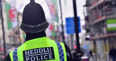 Two teenagers arrested after being found with knives and drugs in Cardiff city centre