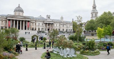 Trafalgar Square goes 'wild' - and becomes an overgrown garden for one day only