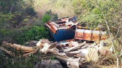Andhra Pradesh: Plywood truck heading to Chennai from Hindupur falls into valley near Bhakrapet ghat road