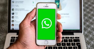 Urgent WhatsApp warning as users told to delete scam text immediately