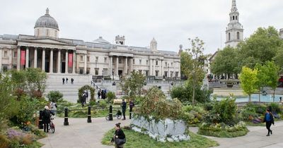 Watch the moment Trafalgar Square went 'wild' and became an overgrown garden
