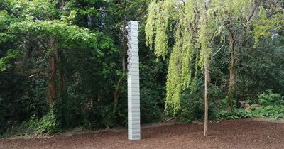 7 metre tall sculpture in south Dublin park gets mixed reaction as it is dubbed 'modern mobile mast'