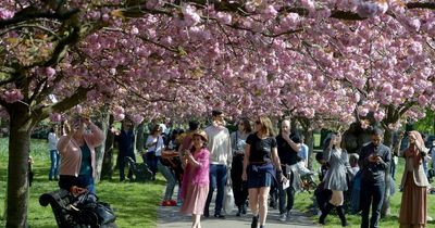 When the Met Office says it'll rain again in Wales as sunny dry spell continues