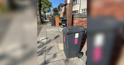 Council gives update on bin collection delays