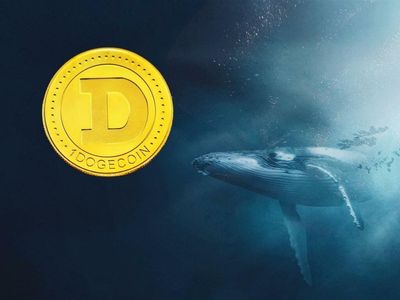 315M DOGE Moved In One Go As Dogecoin Whales Continue To Be Restless