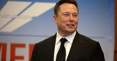 Critics slam Elon Musk over Twitter purchase instead of 'curing world hunger'