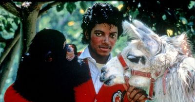 Inside Michael Jackson's zoo of horrors - giraffes on fire and bear in bumper car
