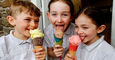 Ice cream made at Caerphilly parlour from old family recipe is voted the best in the UK