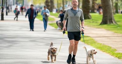 Irish weather: Make the most of the warm days warns Met Eireann in latest forecast as rain on the way