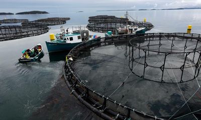 Canada’s attempt to phase out open-pen salmon farms faces setback