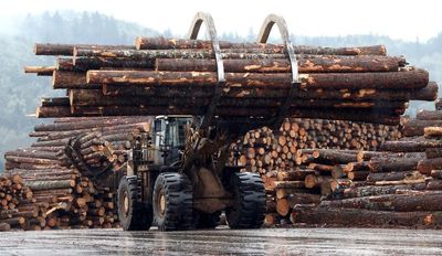 Appeals court nixes $1.1 billion timber award against Oregon