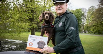 PSNI support dog DNA firm in bid to tackle pet thefts