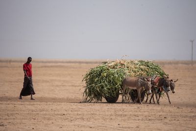 U.S. to provide $200 million in humanitarian aid for Horn of Africa, State Department says