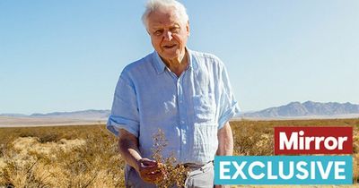 David Attenborough, 96, has one of most lucrative years of his career with £1.8m profit