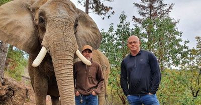 Ross Kemp tracks down Michael Jackson's old Zoo animals at the home of Joe Exotic