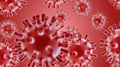 A CDC Study Suggests Three-Fifths of Americans Have Been Infected by the Coronavirus