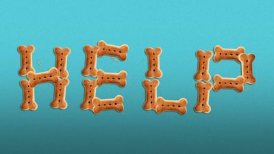 Pet owners are having a hard time getting a vet appointment