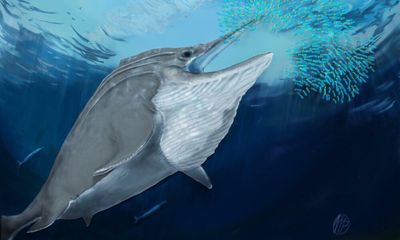 Giant ichthyosaur’s huge tooth points to sea creatures with robust bite
