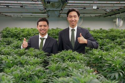 Medicana to invest B120m in hemp farm
